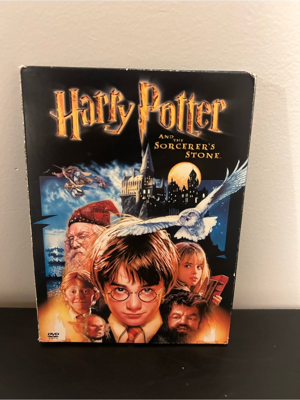 Harry Potter and the Sorcerer's Stone DVD - Iconic Movie Artwork